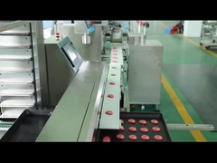 機械類100gのビスケットの製造業機械を覆うスライスされたクッキー